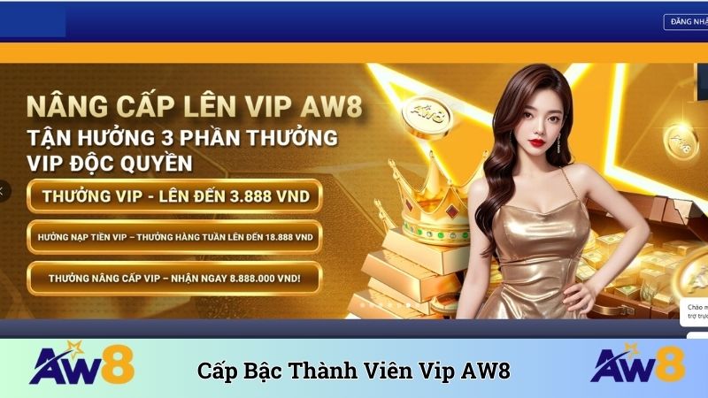 Cấp bậc thành viên VIP AW8